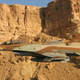 (Israeli Defense Forces)